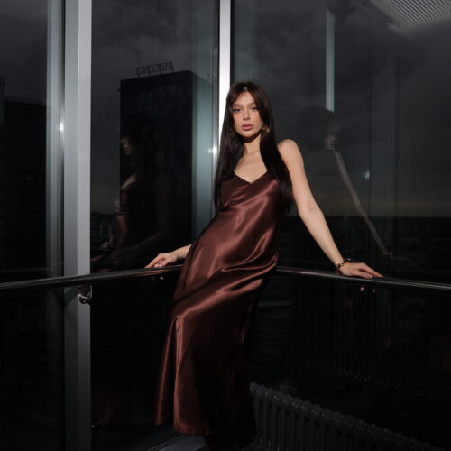 brown silk dress